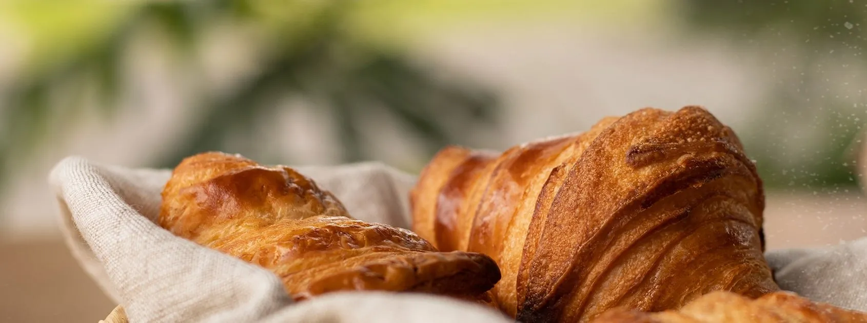 Croissants recién horneados